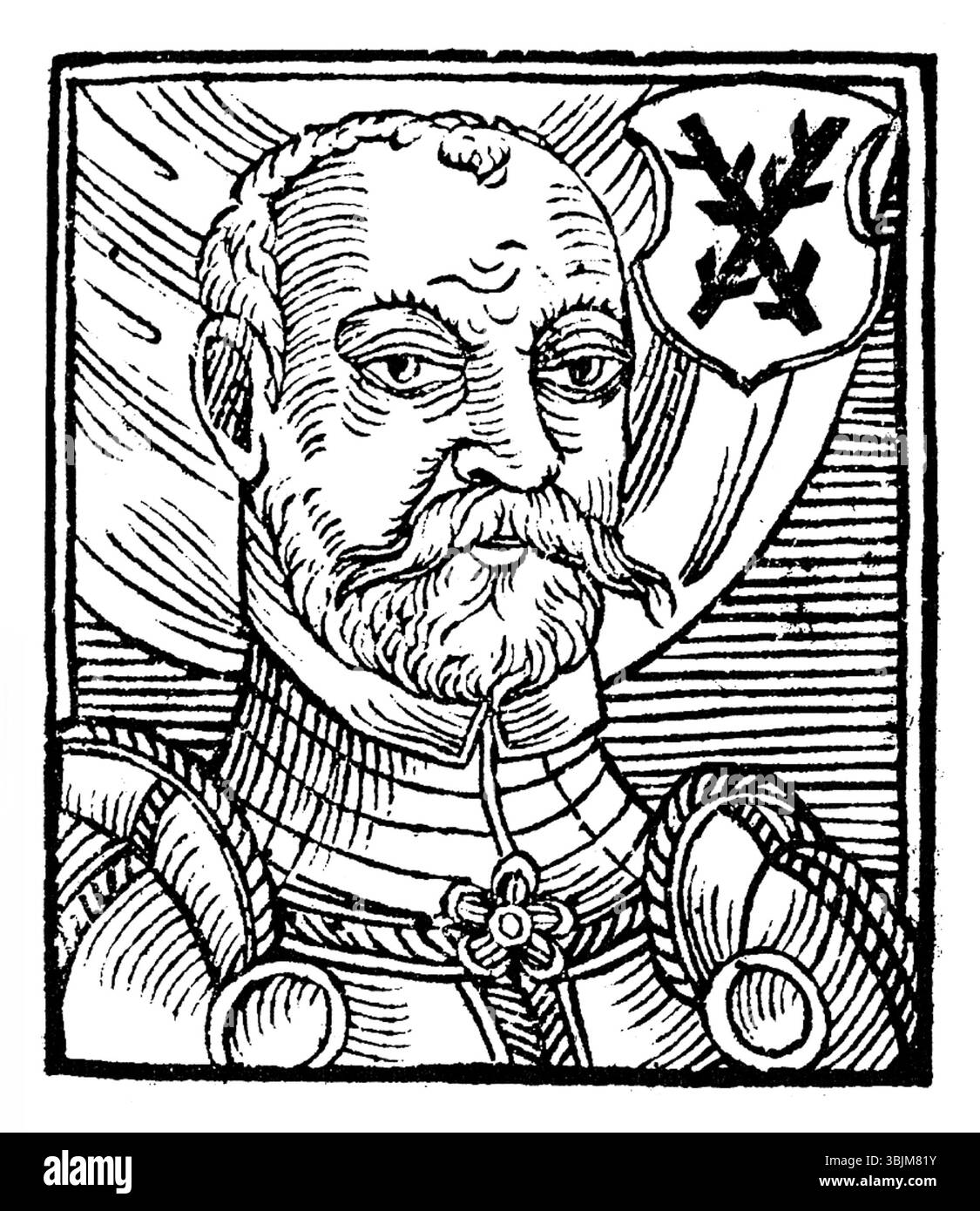 This 1602 portrait by Bartosz Paprocki of Jindich z Lipé, a historical figure, depicts the subject in an elaborate, formal pose, with attention to detail and cultural context. Stock Photo