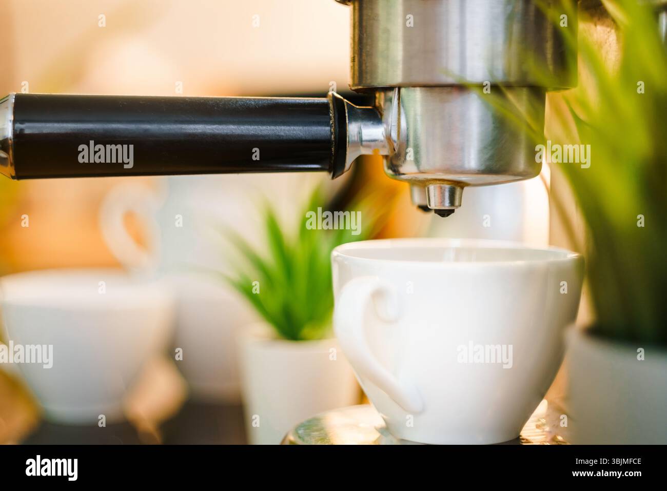 coffee espresso maker home kitchen green plants interior Stock Photo
