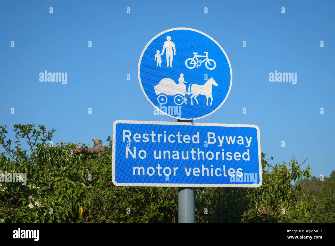 White on blue Restricited Byway sign, no unauthorised motor vehicles with graphics for pedestrians, cyclists and horse and carts Stock Photo