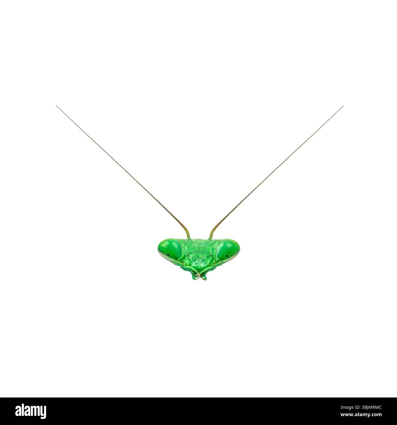 Extreme minimalism Cut Out Stock Images & Pictures - Alamy Extreme minimalism Cut Out Stock Images & Pictures - Alamy