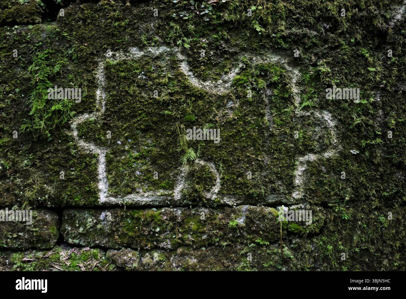 Puzzle piece shape chalk drawing on a mossy wall Stock Photo