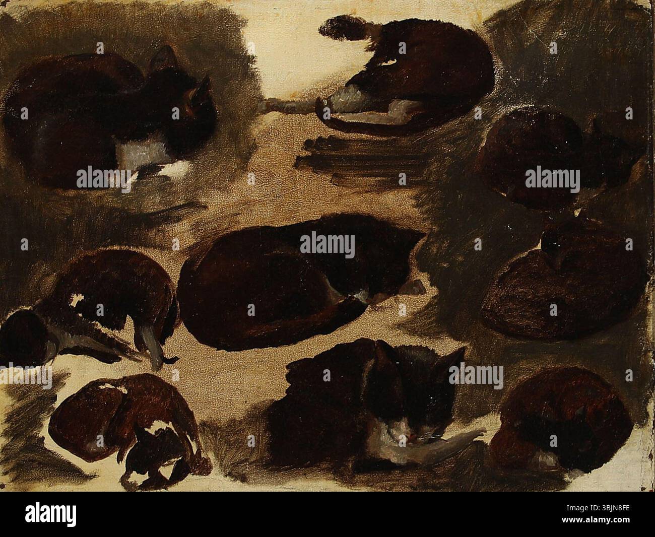Sort Kattekilling 'Studie af en kattekilling' by Hans Smidth (1858) is an oil painting of ...