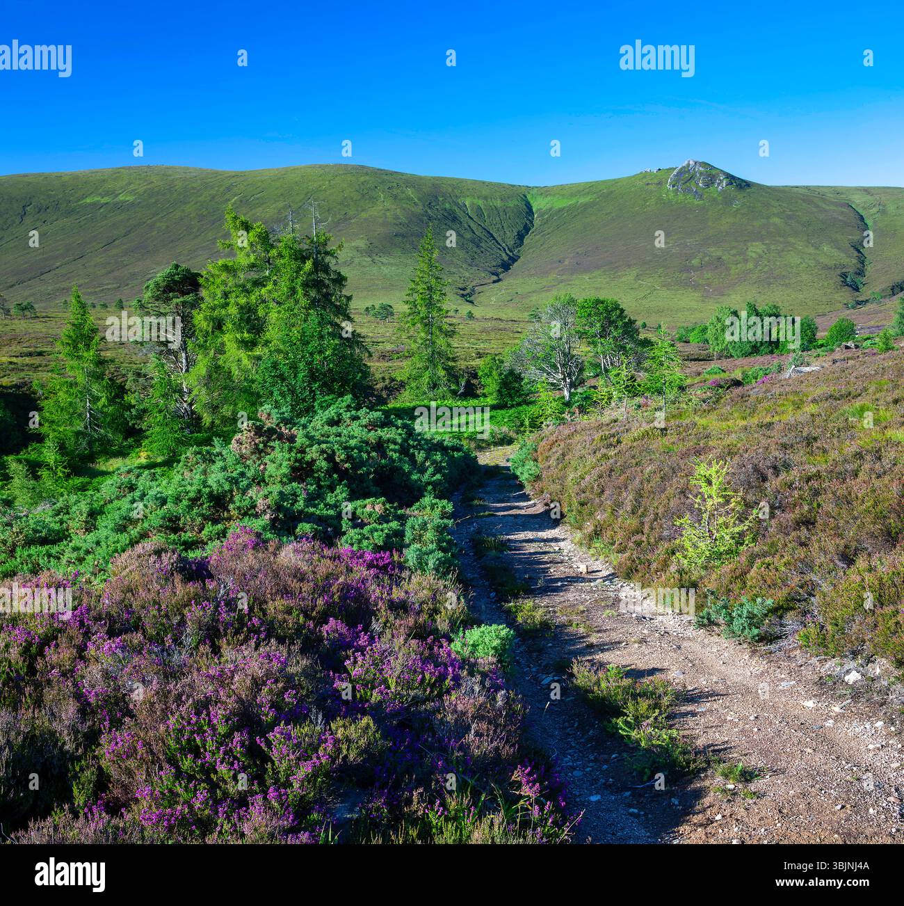 Grampian mountains hi-res stock photography and images - Alamy