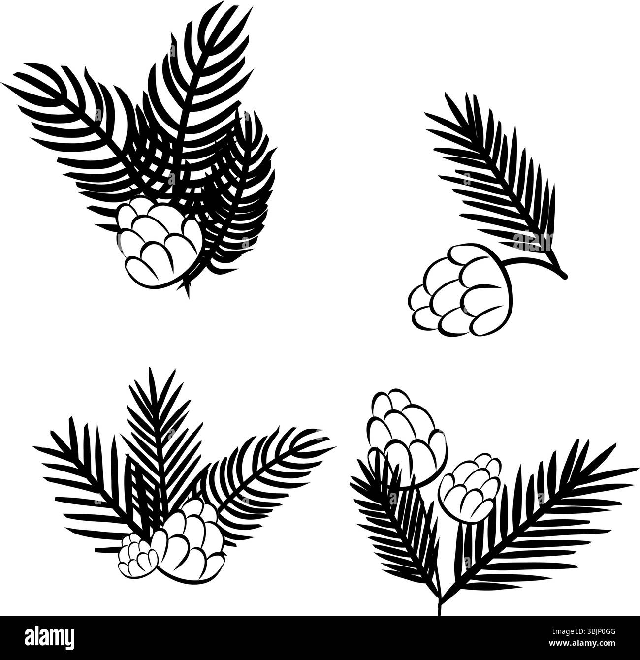 Pine tree branches with pine cones black and white set composition isolated. Vector graphic line ink illustration. For poster, flyer, banner, invitati Stock Vector