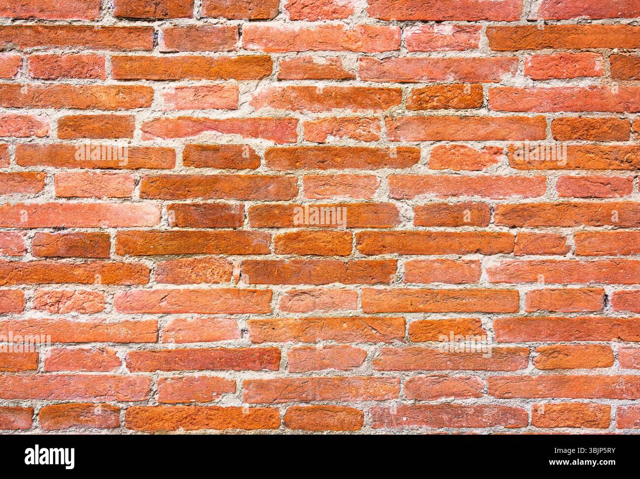 Colorful Old Brick Wall Texture Photo (108903) - YouWorkForThem, image size:1300x972
