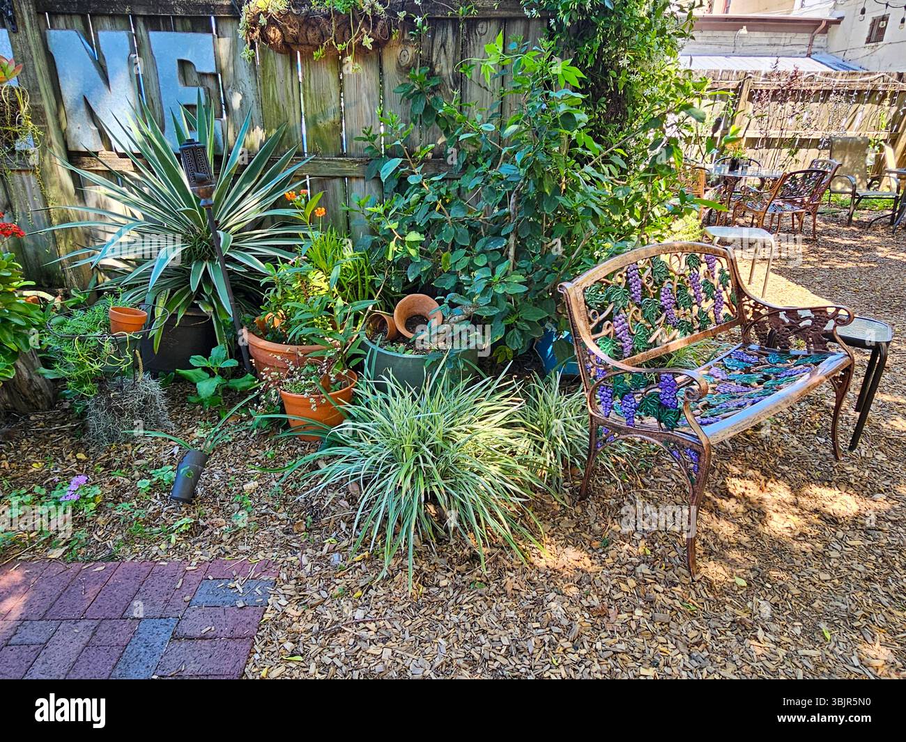 Pretty garden at a wine bar in St Augustine, Florida - Smartphone Captured Stock Image