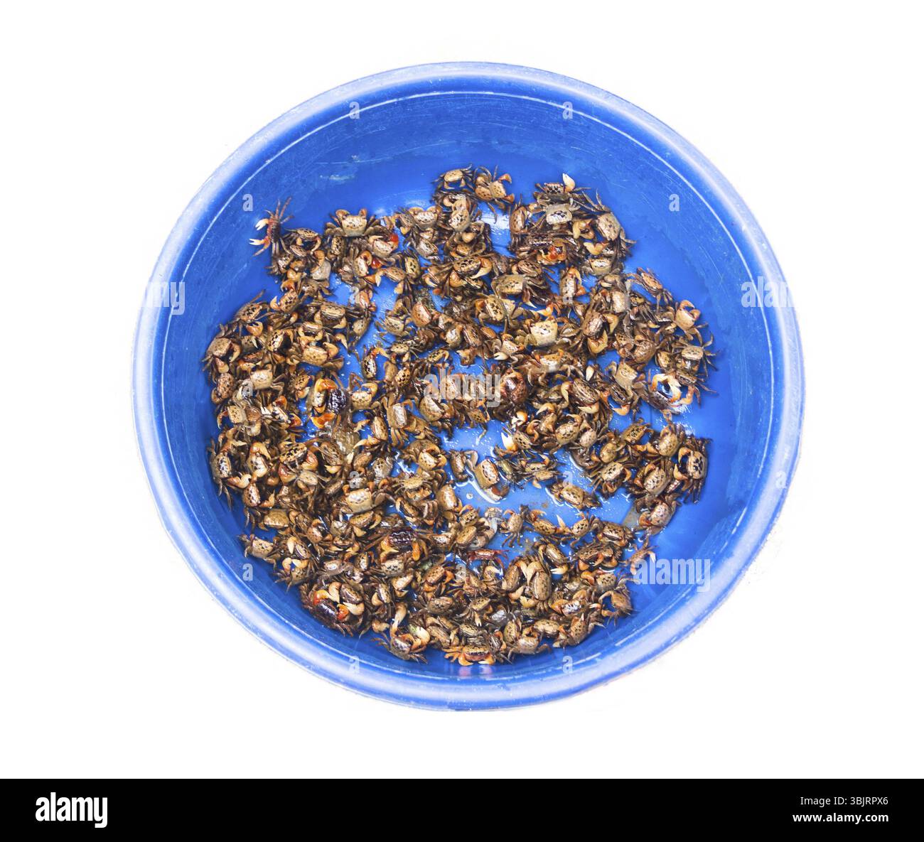 More delicious Cut Out Stock Images Pictures Alamy