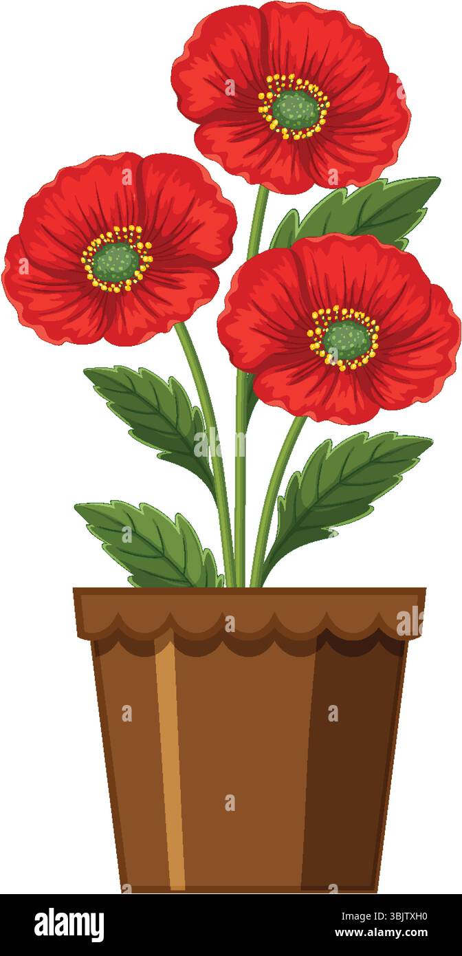 Illustration of three red poppies with green leaves in a brown pot ...