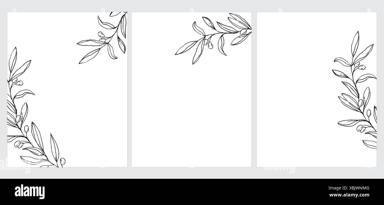 Set of 3 Green Olive Twigs Vector Illustration. Black Olive Branches ...