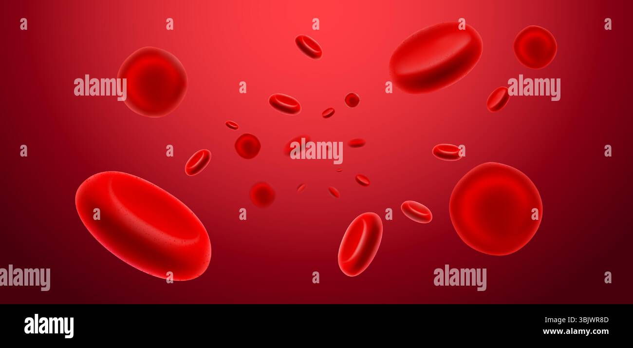 illustration of red blood cell flowing in artery Healthcare and Medical ...