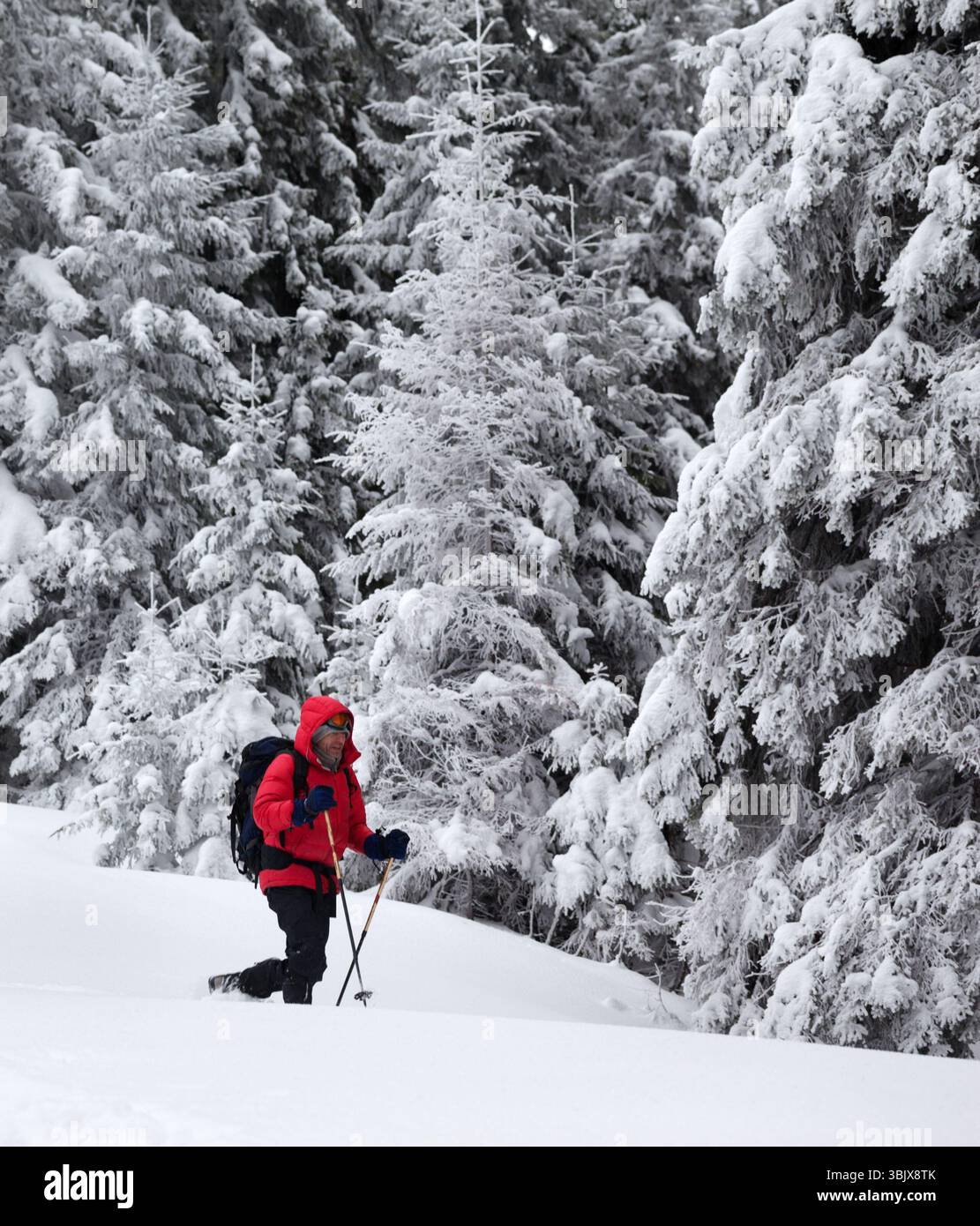 Hiker makes way on hi res stock photography and images Alamy Hiker makes way on hi res stock photography and images Alamy
