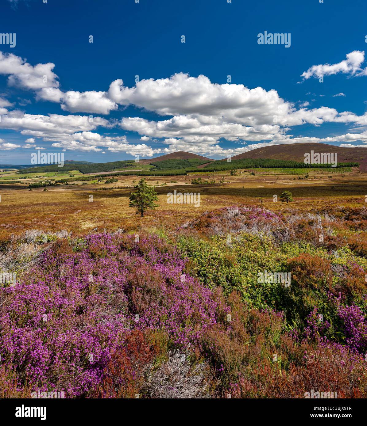 Grampian mountains hi-res stock photography and images - Alamy