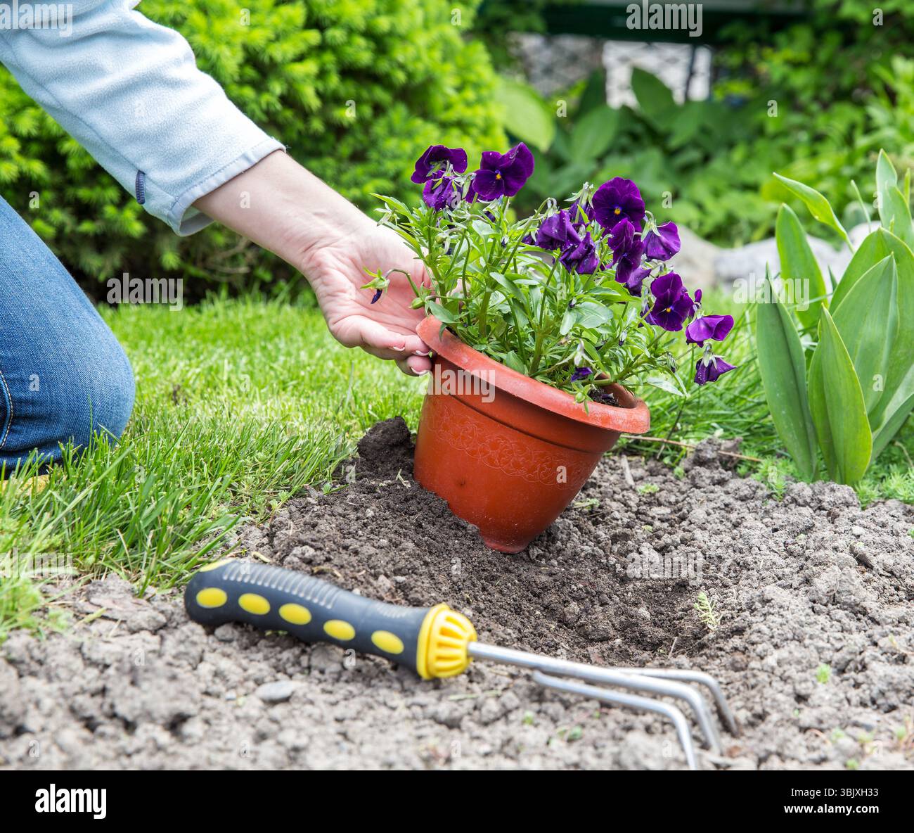 Gardening Stock Photo