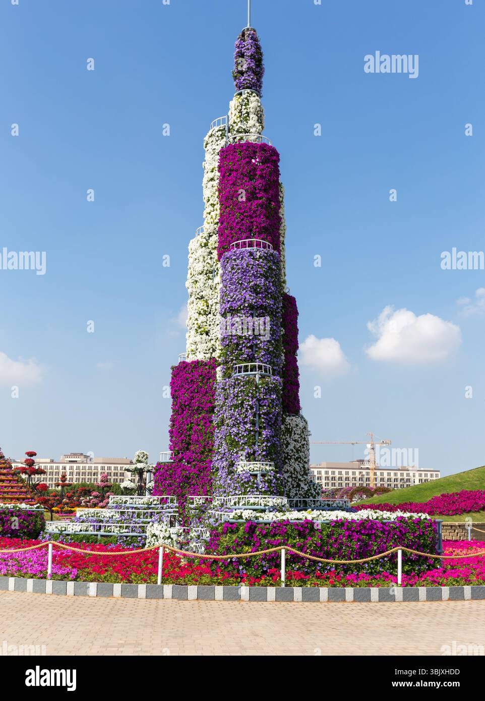 DUBAI, UAE - JANUARY 20: Miracle Garden in Dubai, on January 20, 2014, Dubai, UAE. Beautiful Miracle Garden with 45 million flow Stock Photo