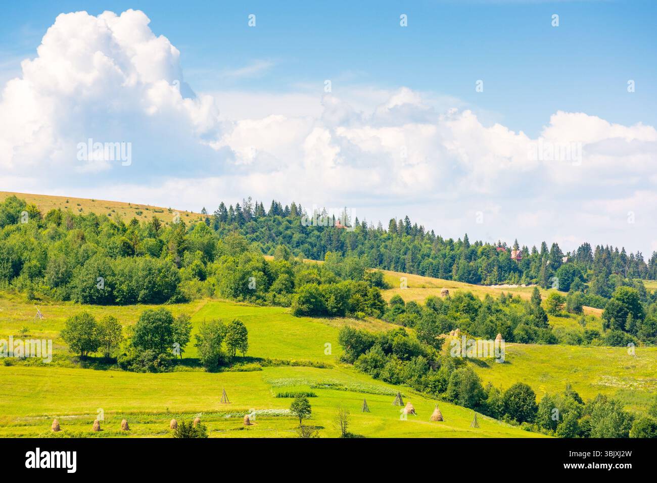 mountainous rural landscape on a sunny day. countryside scenery with lush trees, grassy fields, haystack and arable on the slope of a hill. fluffy clo Stock Photo