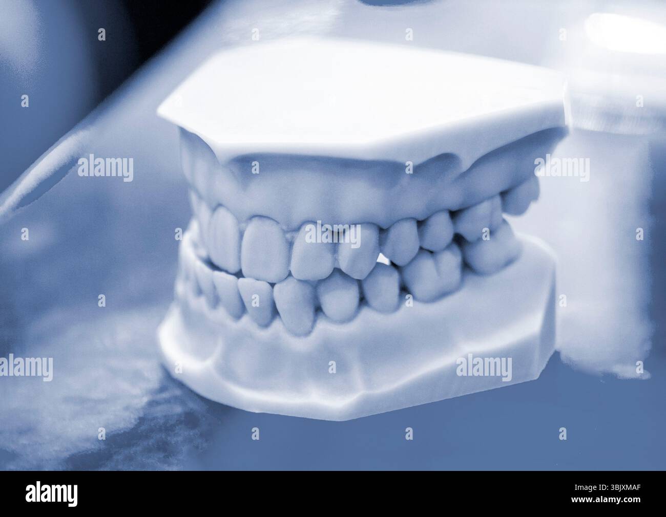 Prototype of human upper and lower jaw, teeth printed on 3D printer from hardened rubber. Model of human gums with teeth created on 3D printer from hardened rubber under influence of ultraviolet light Stock Photo