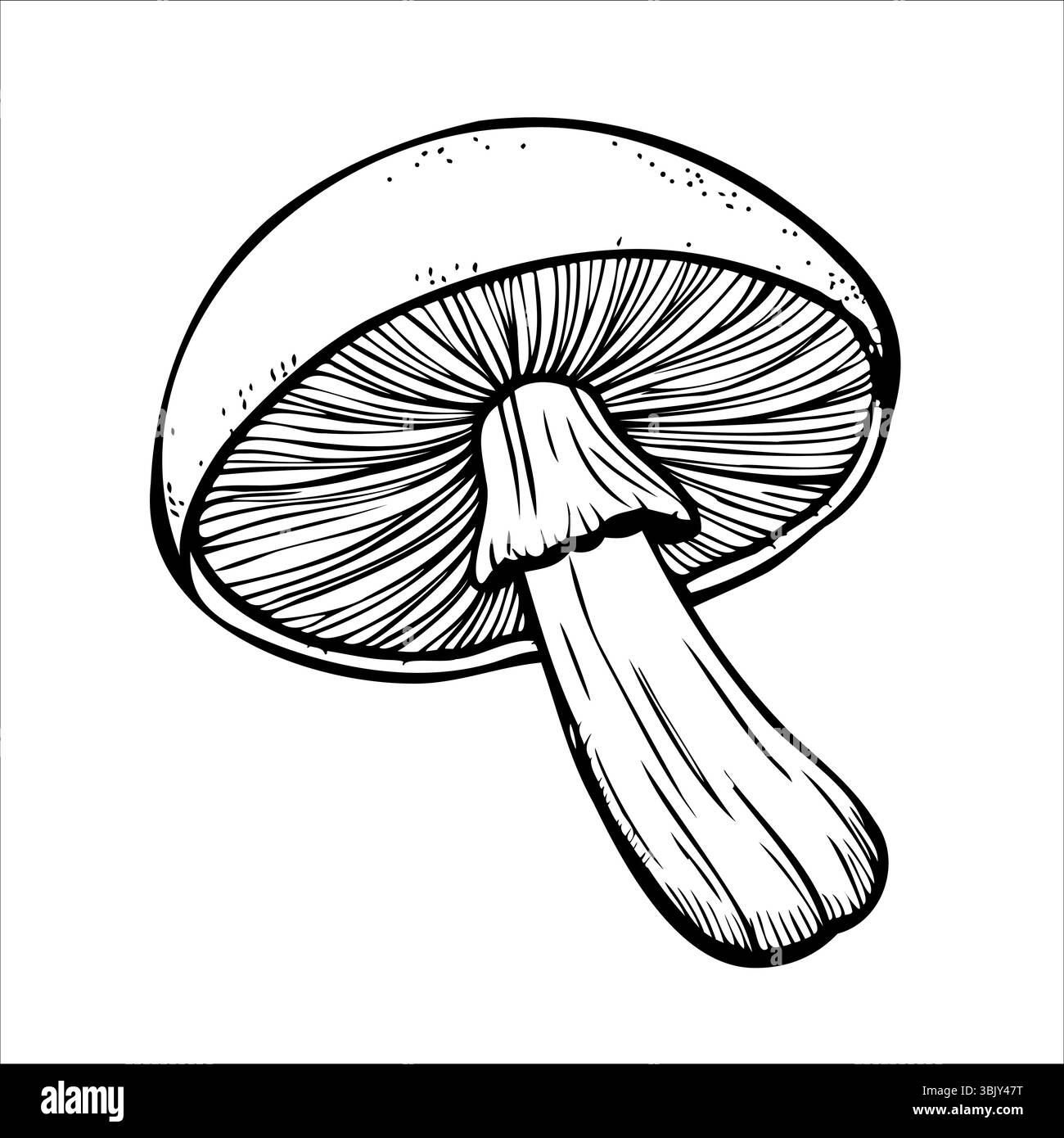 Beneath cap Stock Vector Images - Alamy