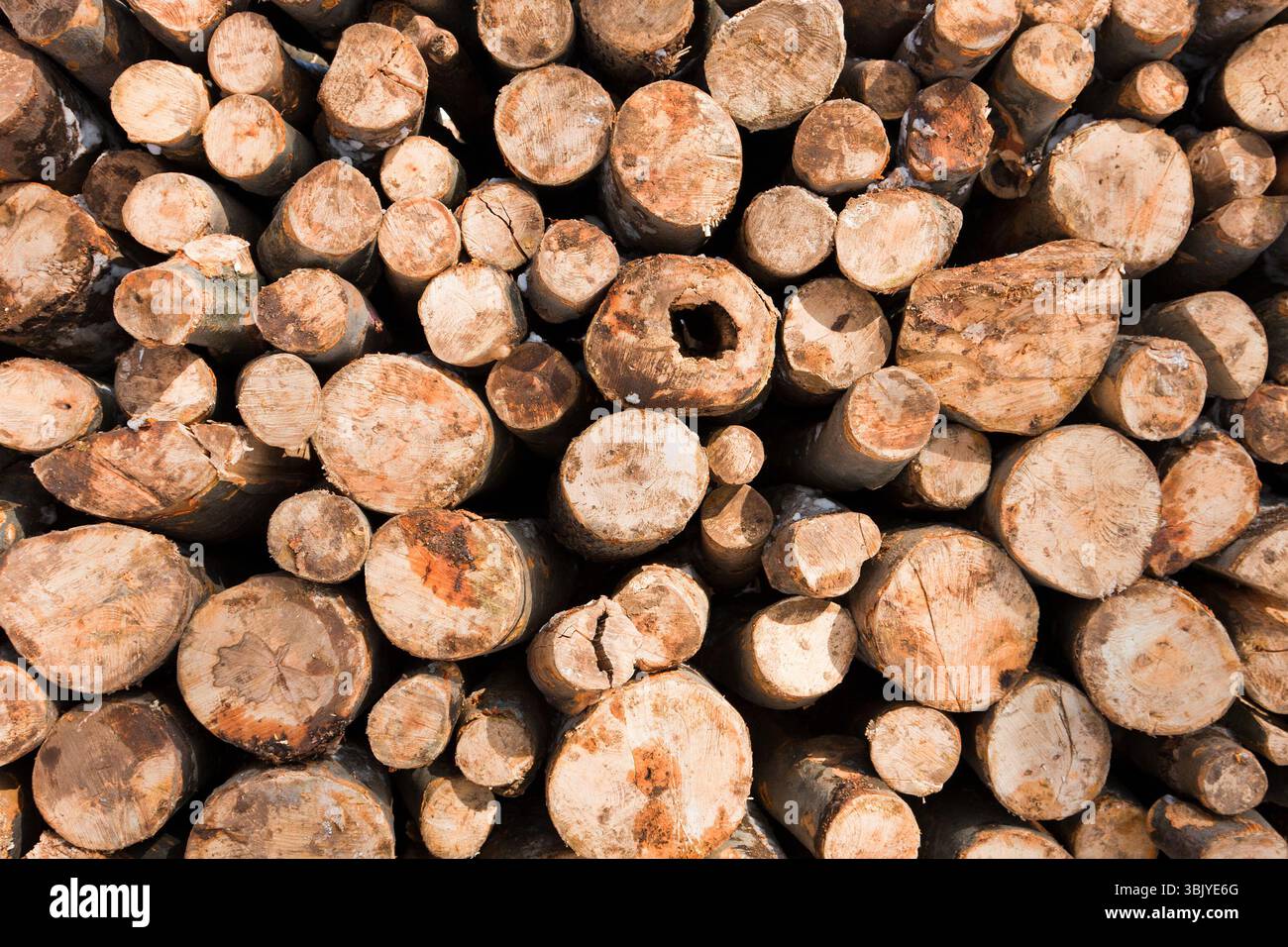 Wooden loges piled up covered by snow Stock Photo