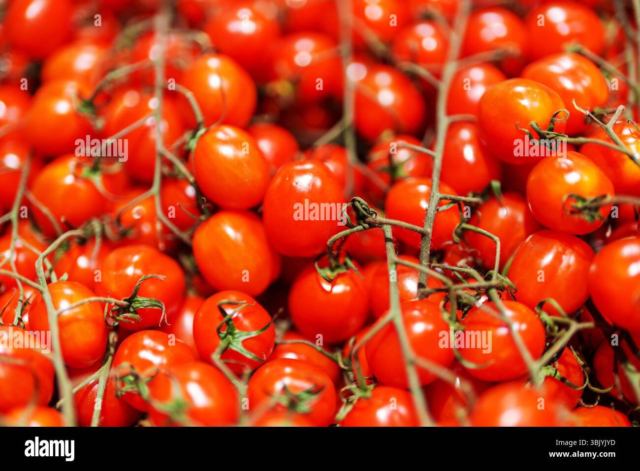 Lots of red cherry tomatoes in supermarket Stock Photo - Alamy