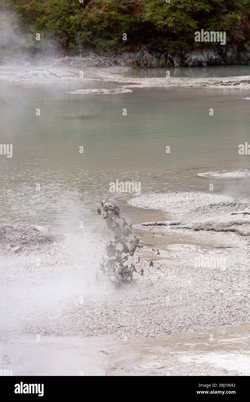 Boiling mud exploding in a mudpot, or mud pool in Waiotapu Thermal ...
