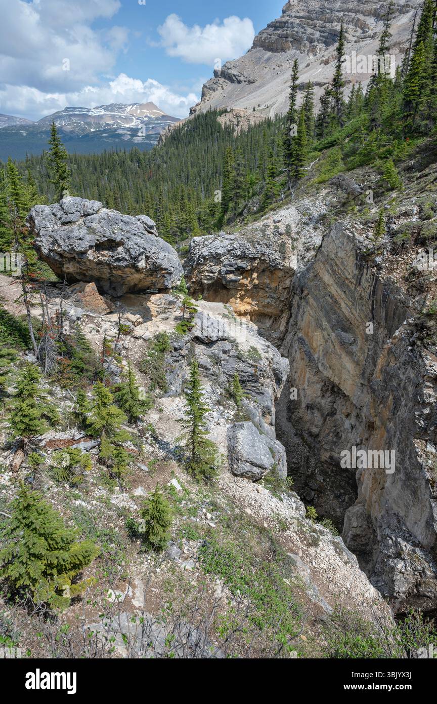 Narrow rocky canyon hi-res stock photography and images - Alamy