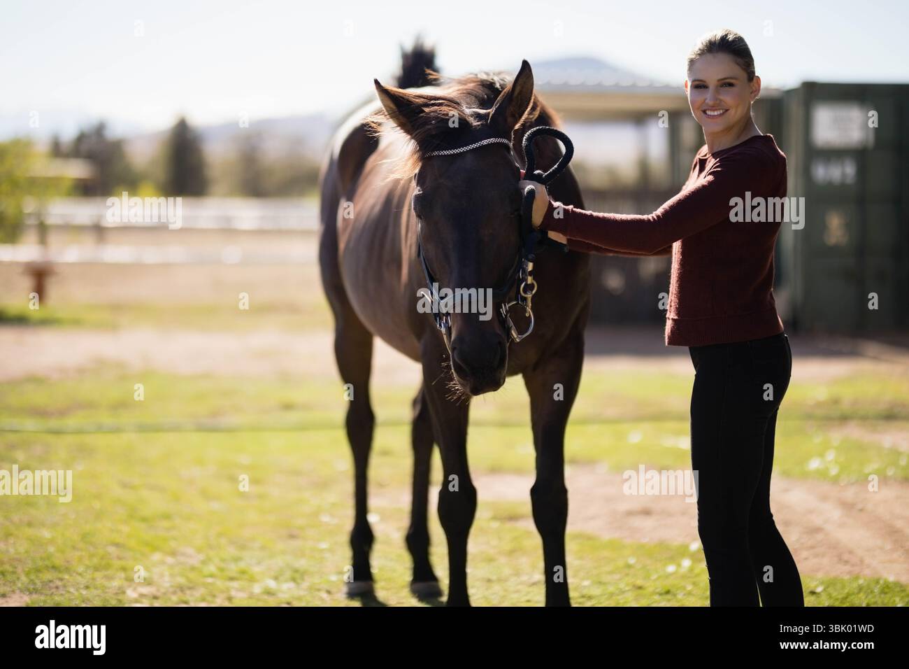 Female rider standing beside dark brown horse holding halter lead rope ...
