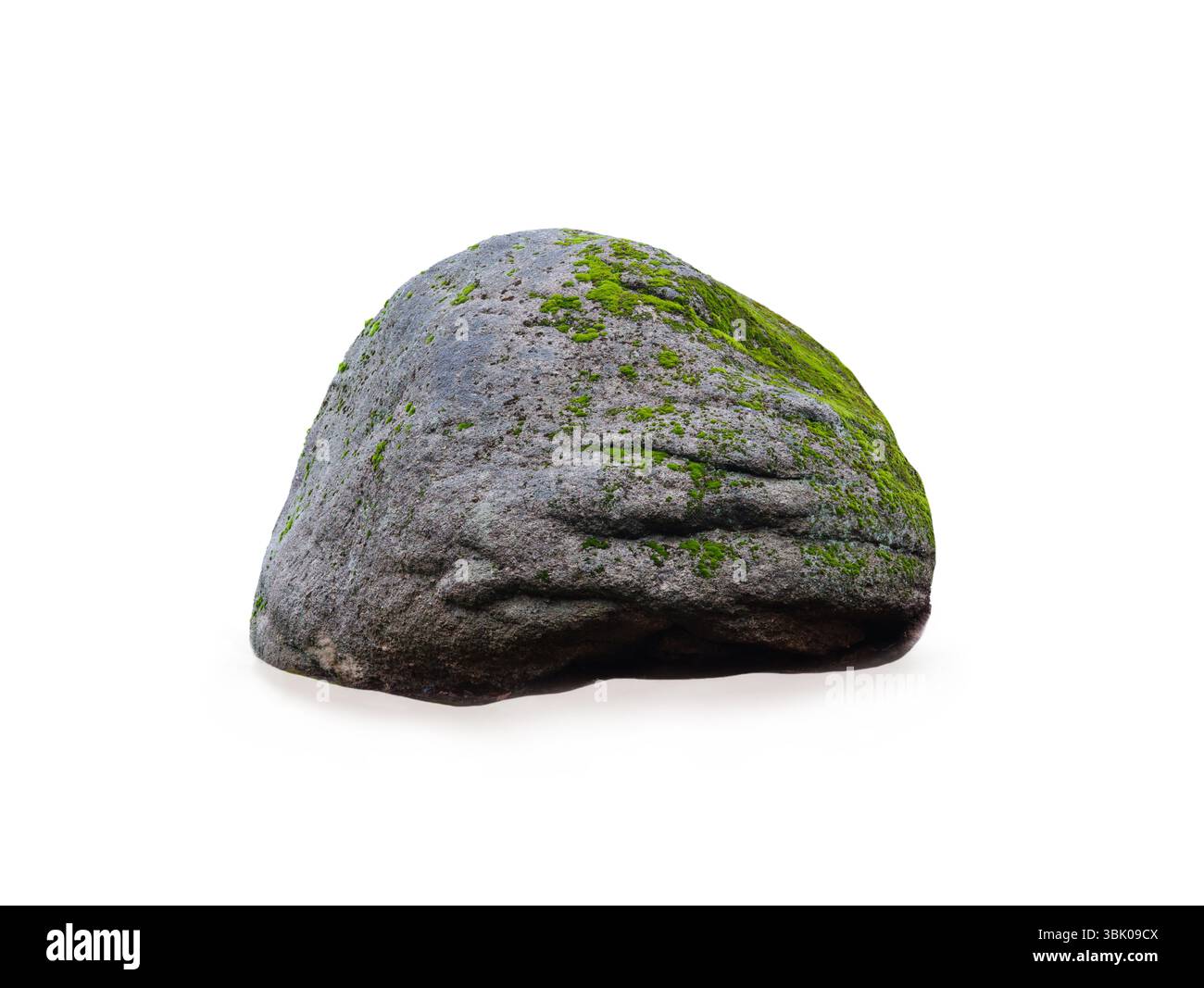 moss growing on stone isolated on white background Stock Photo