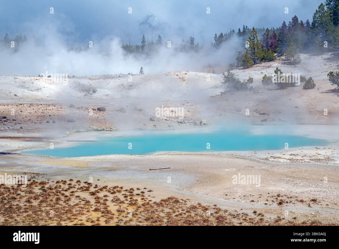Aqua Pools and White Rocks in a Steamy Landscape in the Norris Geyser Basin In Yellowstone National Park in Wyoming Stock Photo