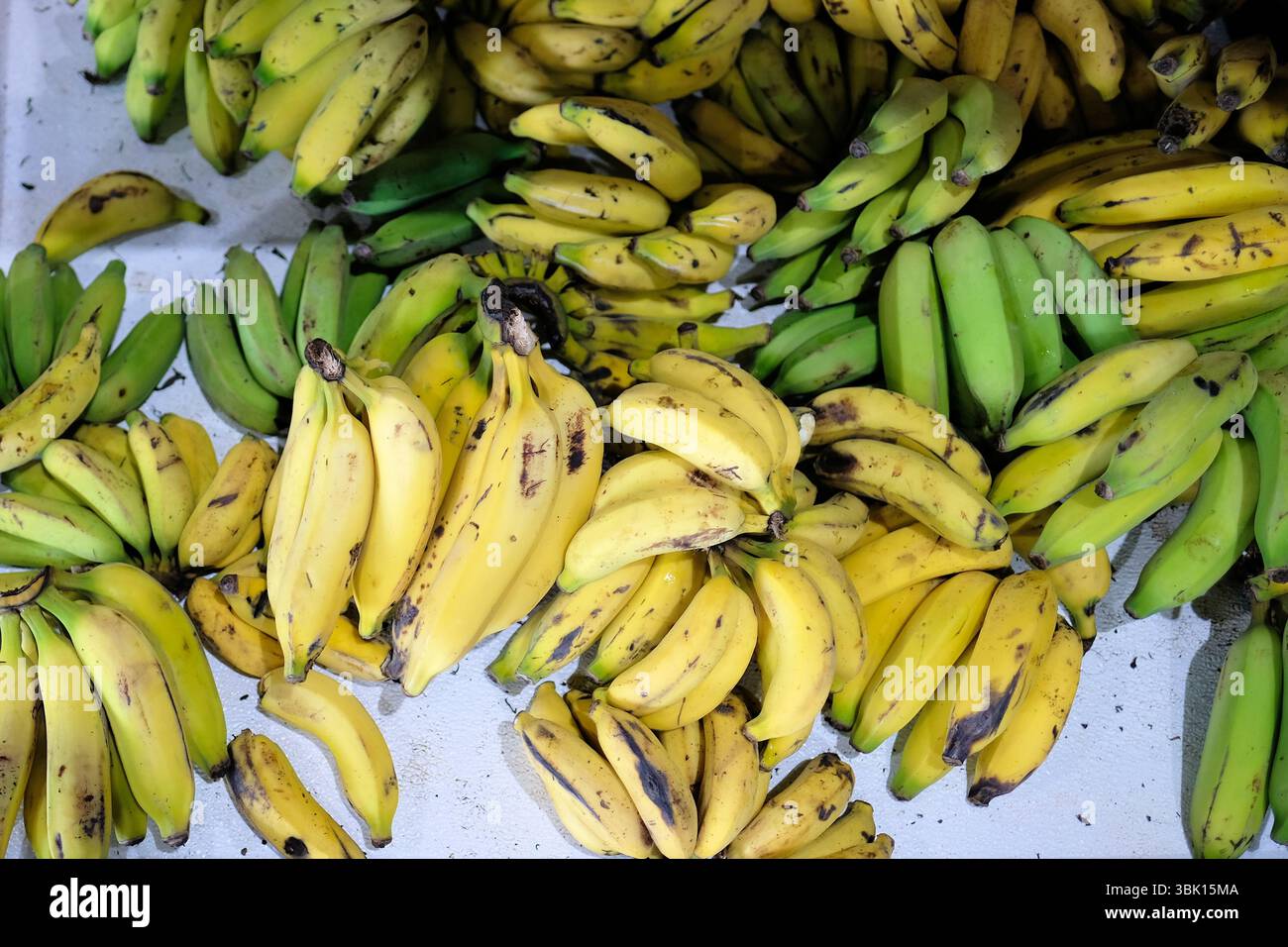 Porno qora yigit onamni sikadi