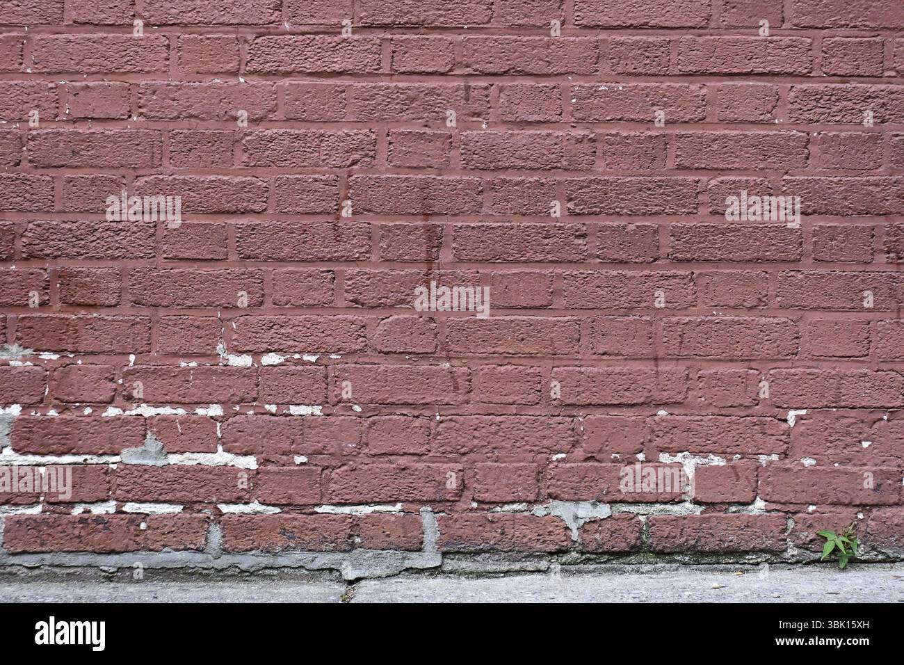 Brick Wall Background. Stock Photo