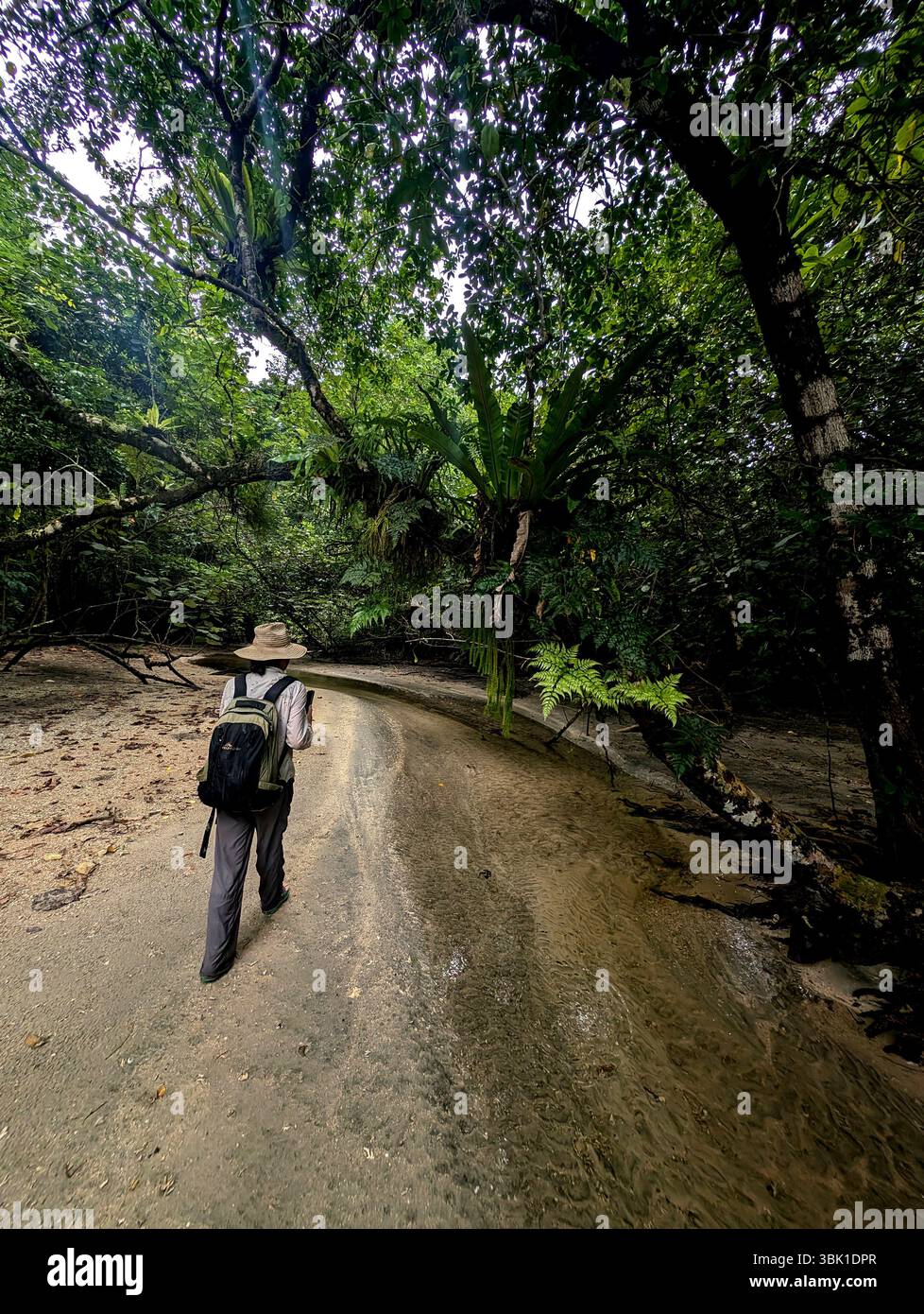 Woman walking up creek from beach, Tetepare Island, Western Province, Solomon Islands. No MR - Smartphone Captured Stock Image