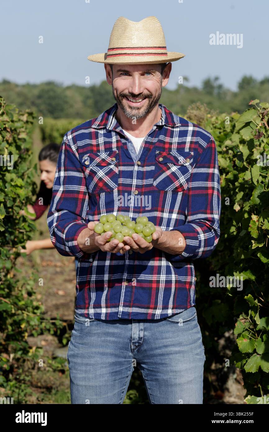man holding grapes in a vineyard Stock Photo