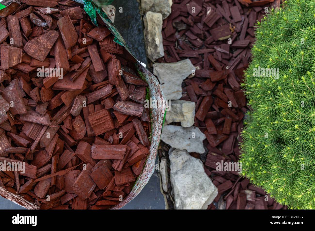 Scattering red tree bark around garden shrubs, acidifying the soil ...