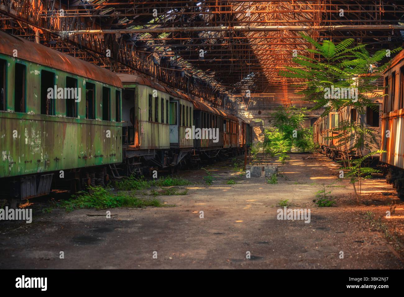 Dmz Train Rusting Cargo trains in old train depot eaten by rust Stock Photo - Alamy