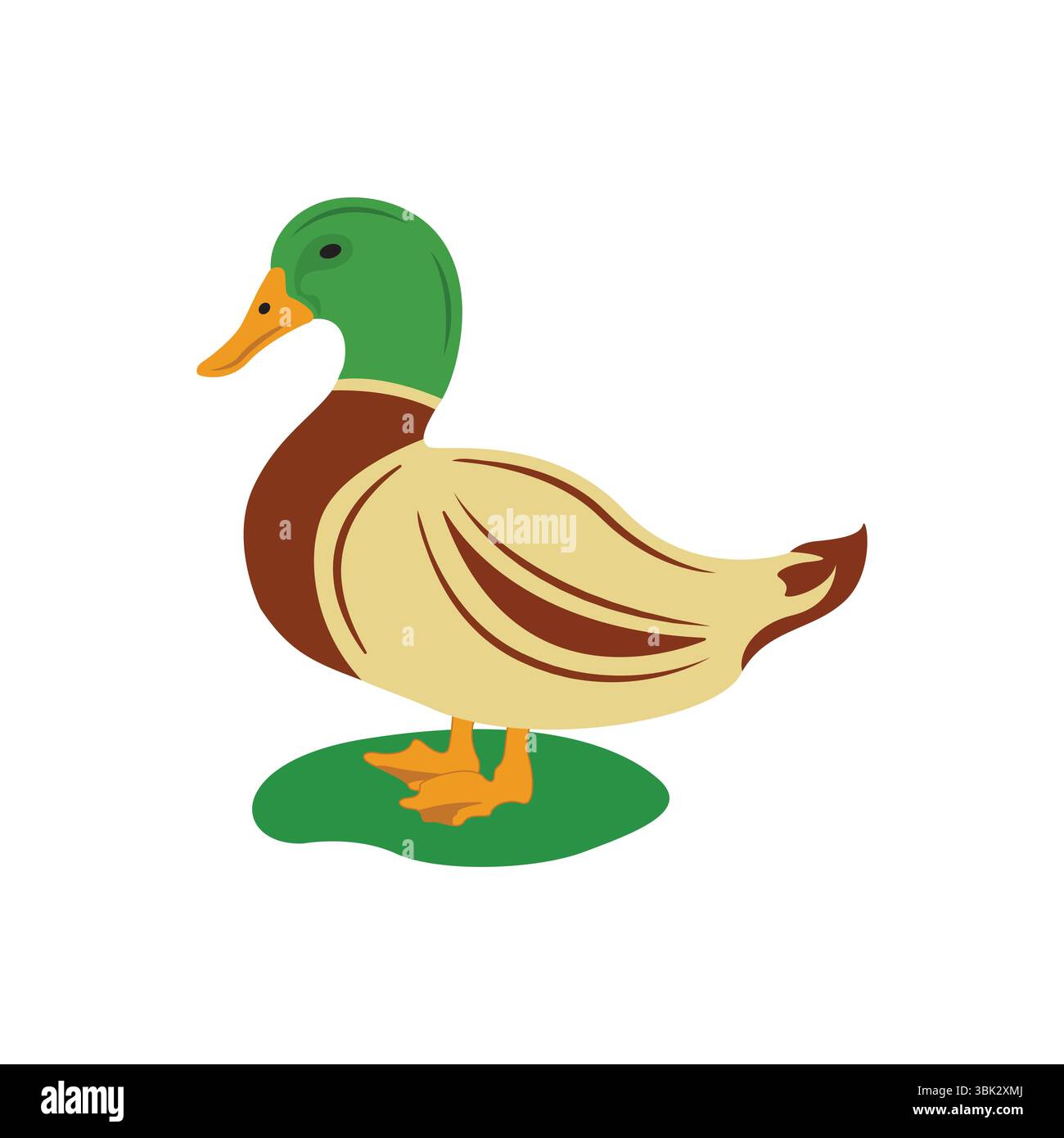 Colorful Mallard Duck Vector Cartoon Wildlife Bird Clipart Stock Vector