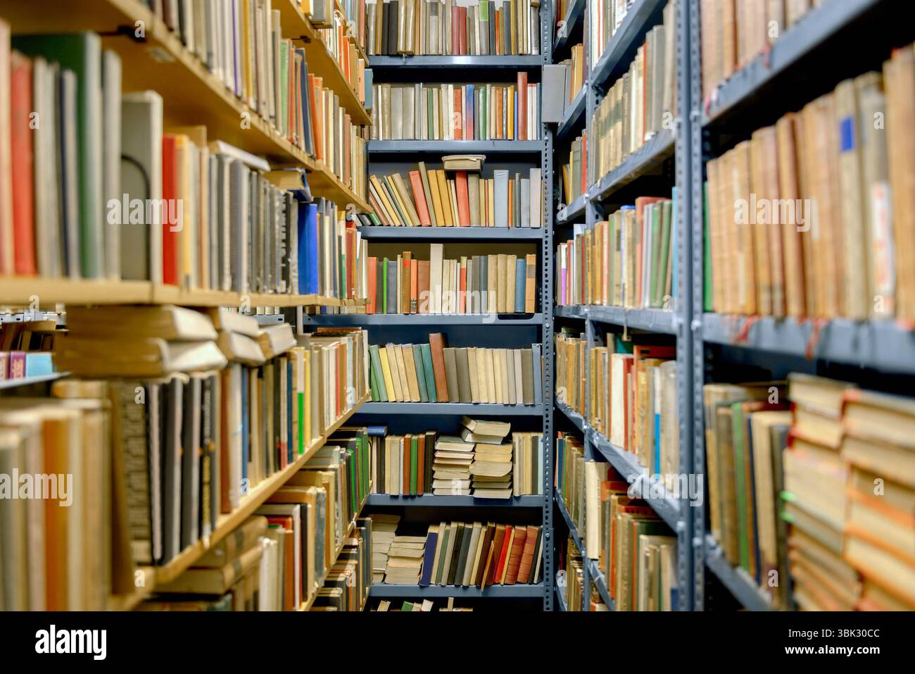 Library interior with books on the shelves Stock Photo - Alamy
