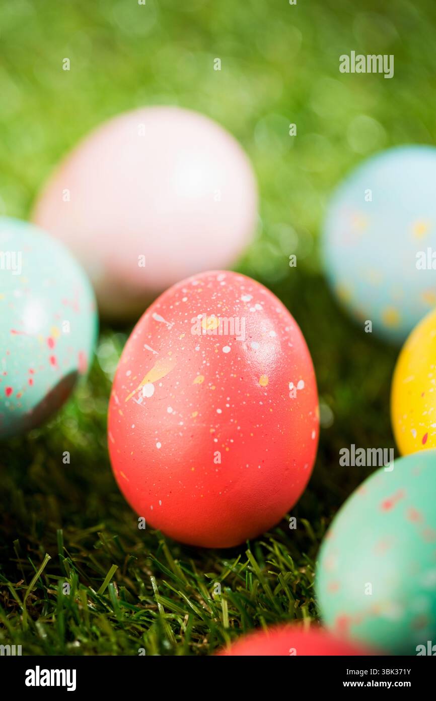 Various Easter eggs on grass Stock Photo