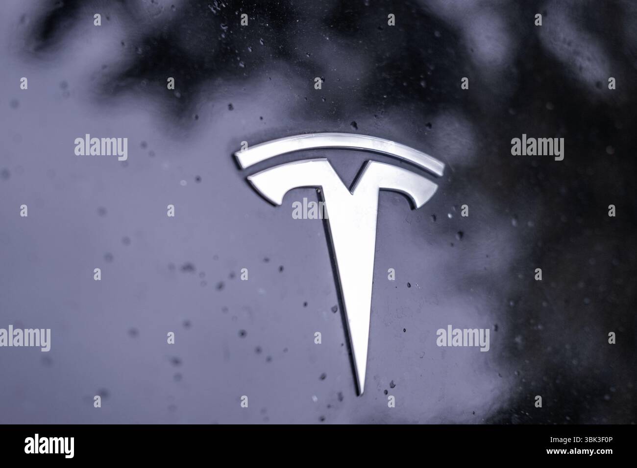 Wunderschne Tesla Motors Logo Bildnull