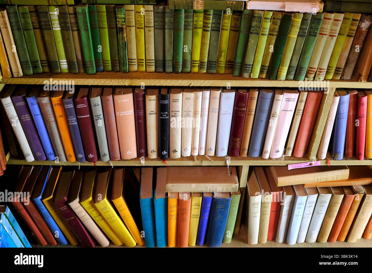 Used books for sale in a bookstore. Stock Photo