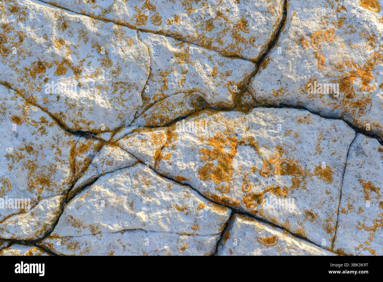 Aged rock texture background closeup with moss Stock Photo - Alamy
