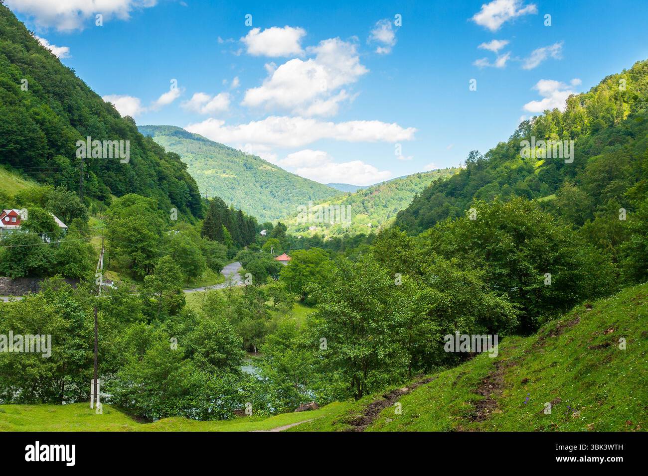 rural landscape of carpathian mountains in summer. remote region. countryside scenery with steep forested slopes. road winding through village among g Stock Photo