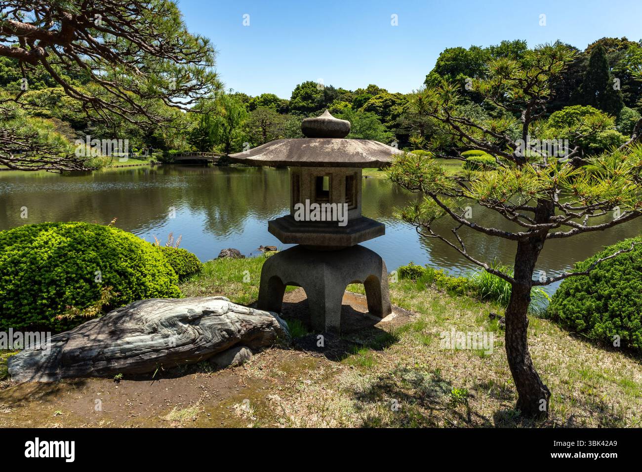 Shinjuku Gyoen National Garden landscape in spring with blue sky, Tokyo Stock Photo