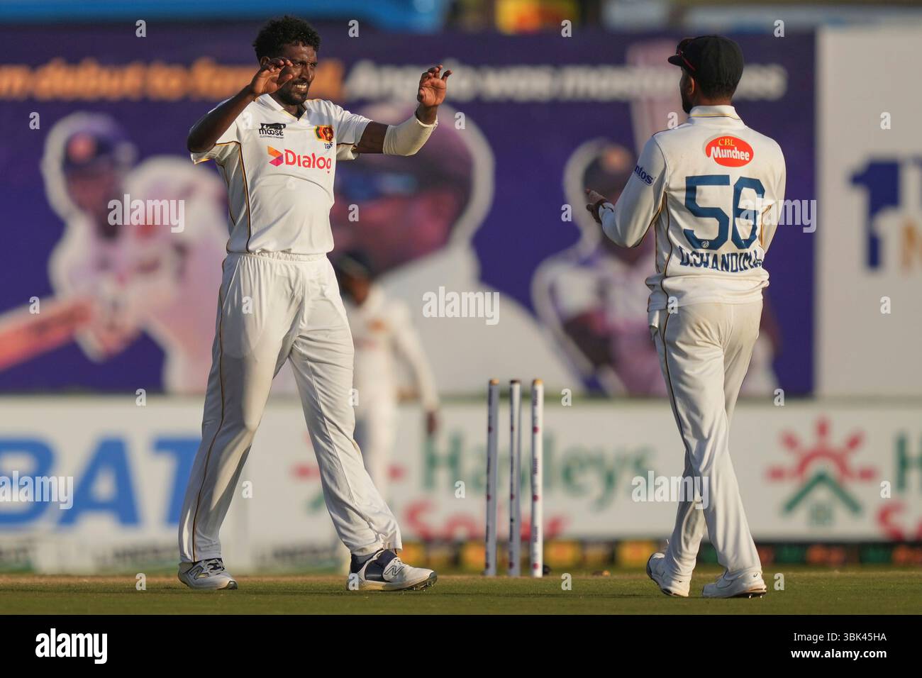 Sri Lanka's Milan Rathnayake celebrates the wicket of Bangladesh's ...