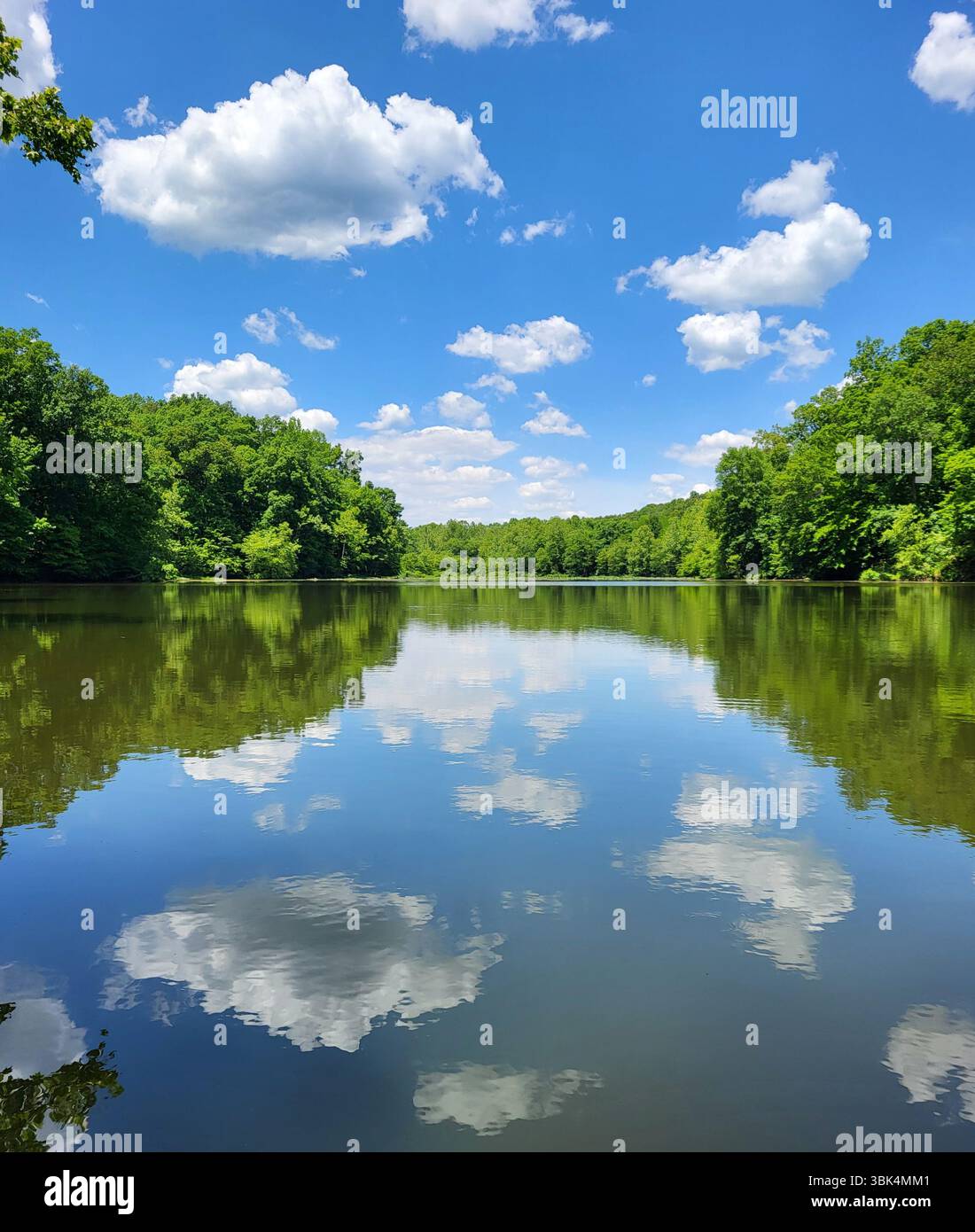 Reflections Worth A Second Glance - Smartphone Captured Stock Image