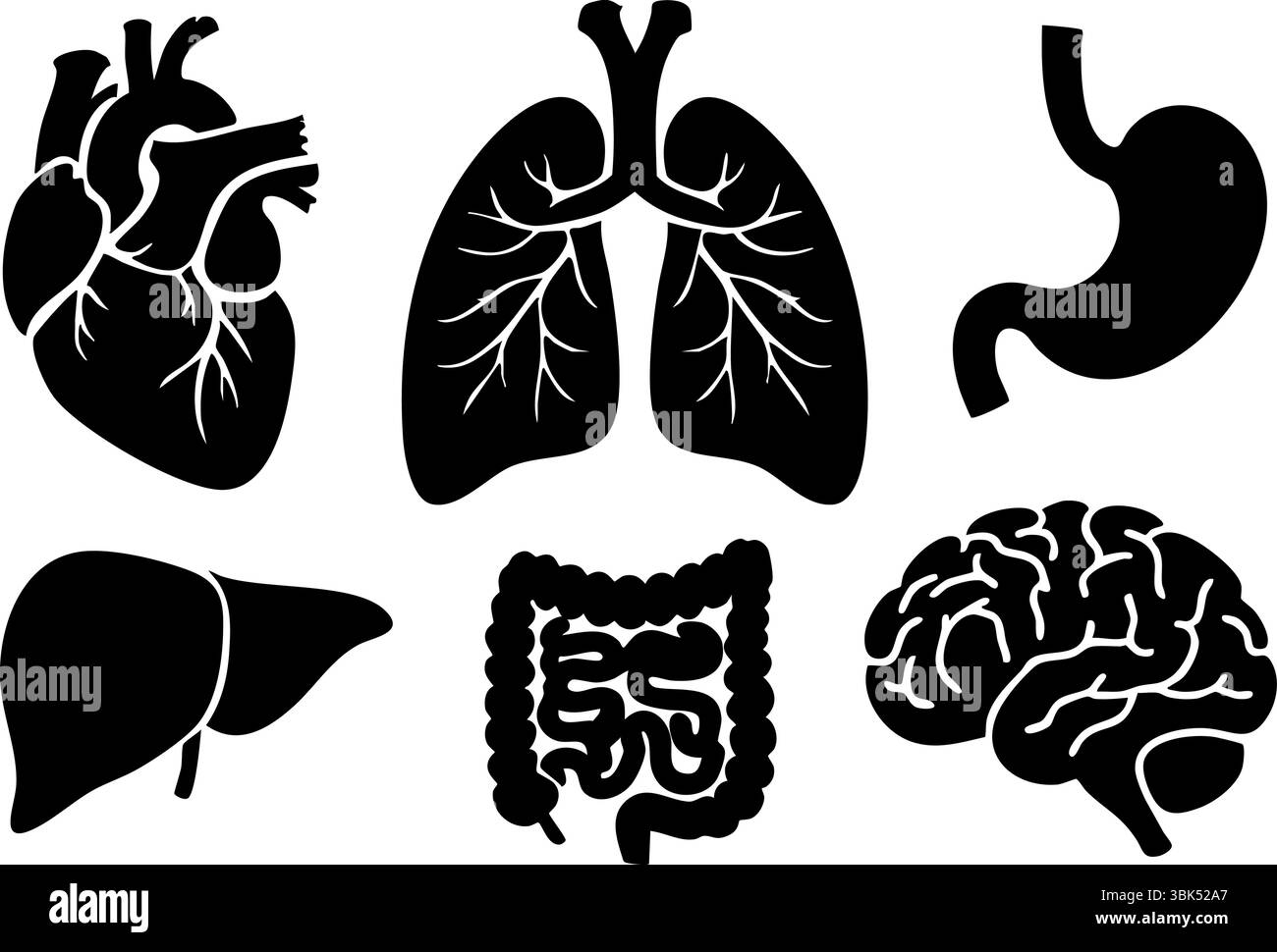 Silhouette Set of Human Organs Including Heart, Lungs, Brain, Liver, Stomach and Intestines – Medical Anatomy Vector Illustration Stock Vector