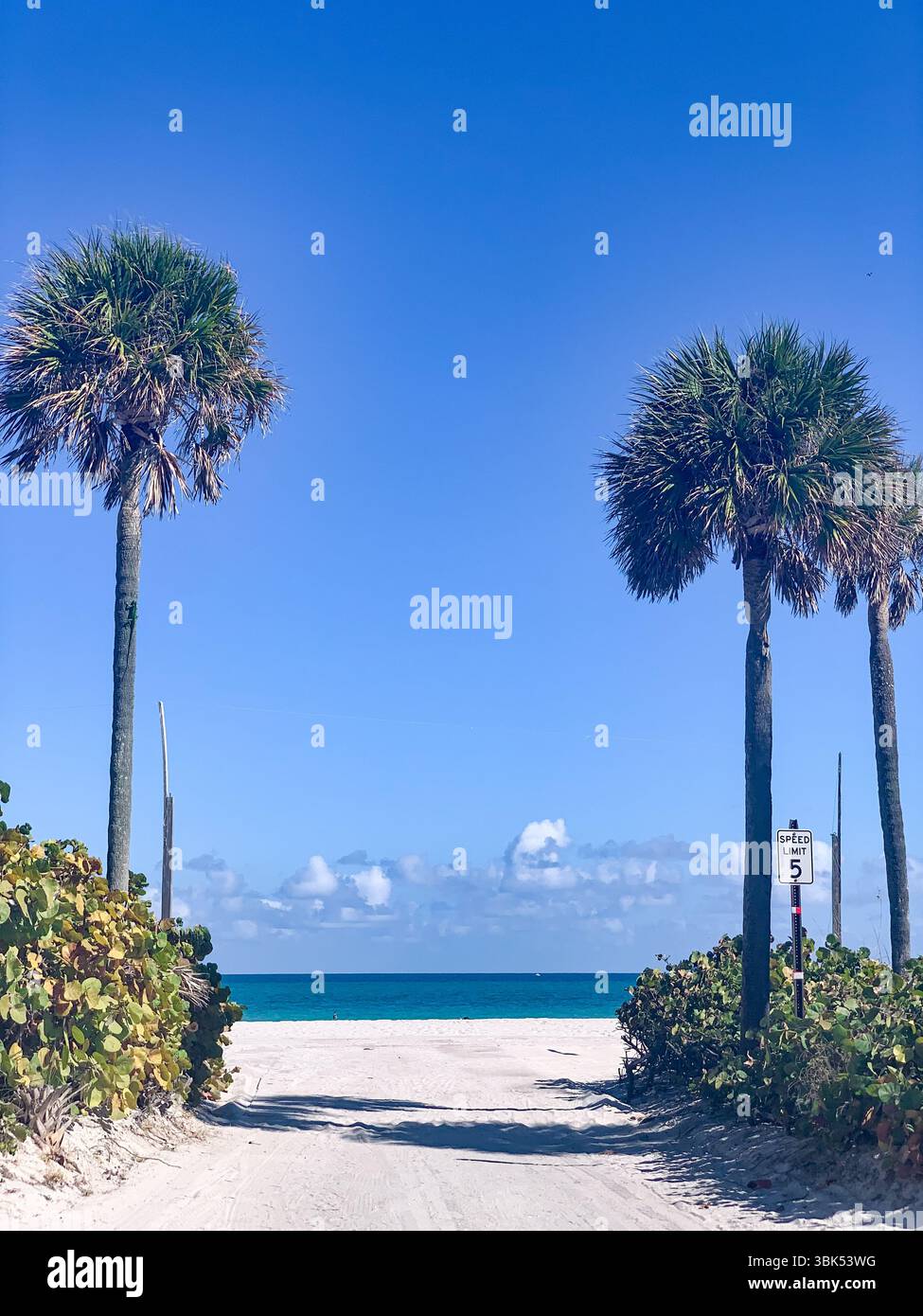 Tropical beach scene featuring a sandy path leading to the turquoise ocean, Miami Beach, Florida Stock Photo