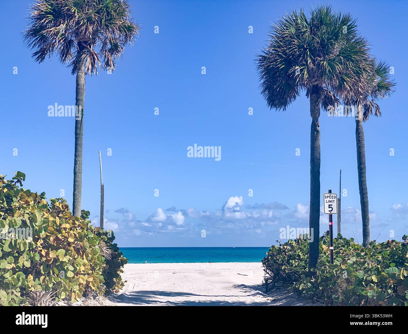 Tropical beach scene featuring a sandy path leading to the turquoise ocean, Miami Beach, Florida Stock Photo