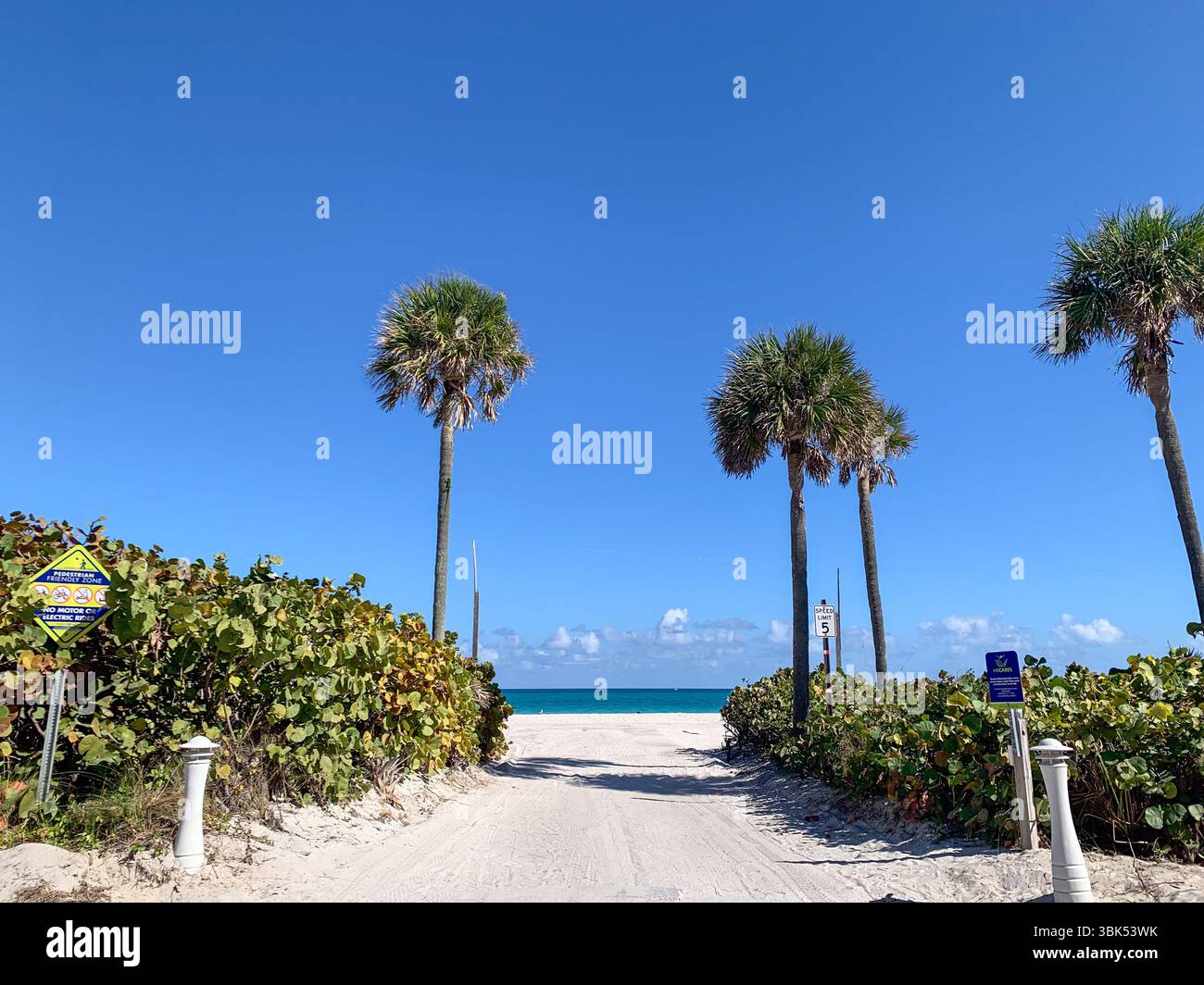 Tropical beach scene featuring a sandy path leading to the turquoise ocean, Miami Beach, Florida Stock Photo