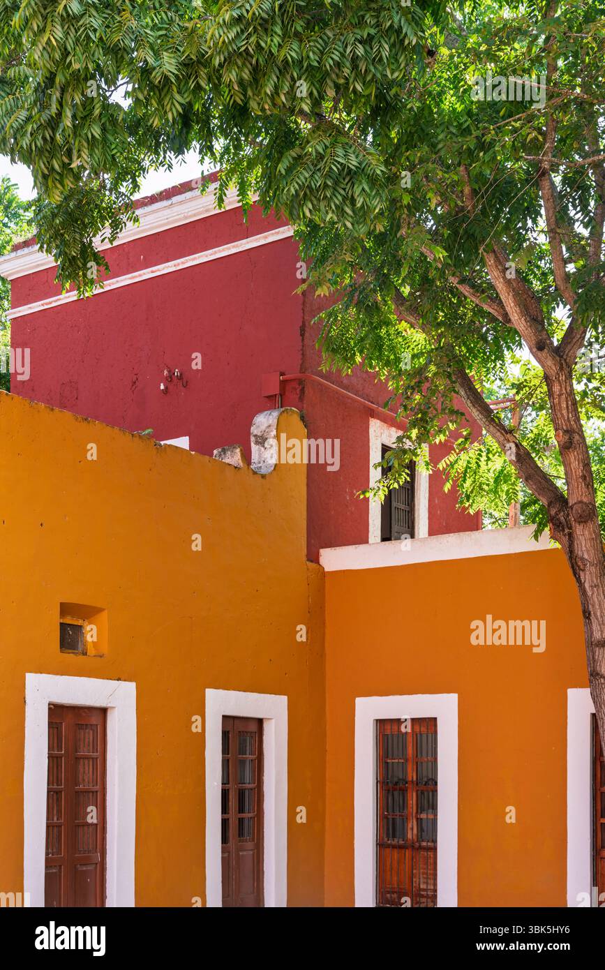 Haciendas Spanish Colonial Houses レア洋書 Haciendas: Spanish Colonial Houses in the U.S. and Mexico by