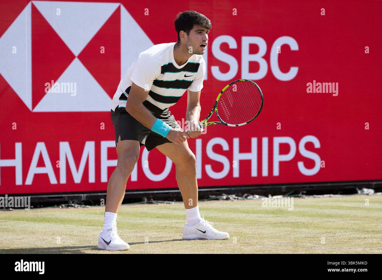 17th June 2025; HSBC Championships, Queens Club, West Kensington, London, England: HSBC Mens Championships Queens Club, Day 2; Carlos Alcaraz (ESP) against Adam Walton (AUS) Credit: Action Plus Sports Images/Alamy Live News Stock Photo